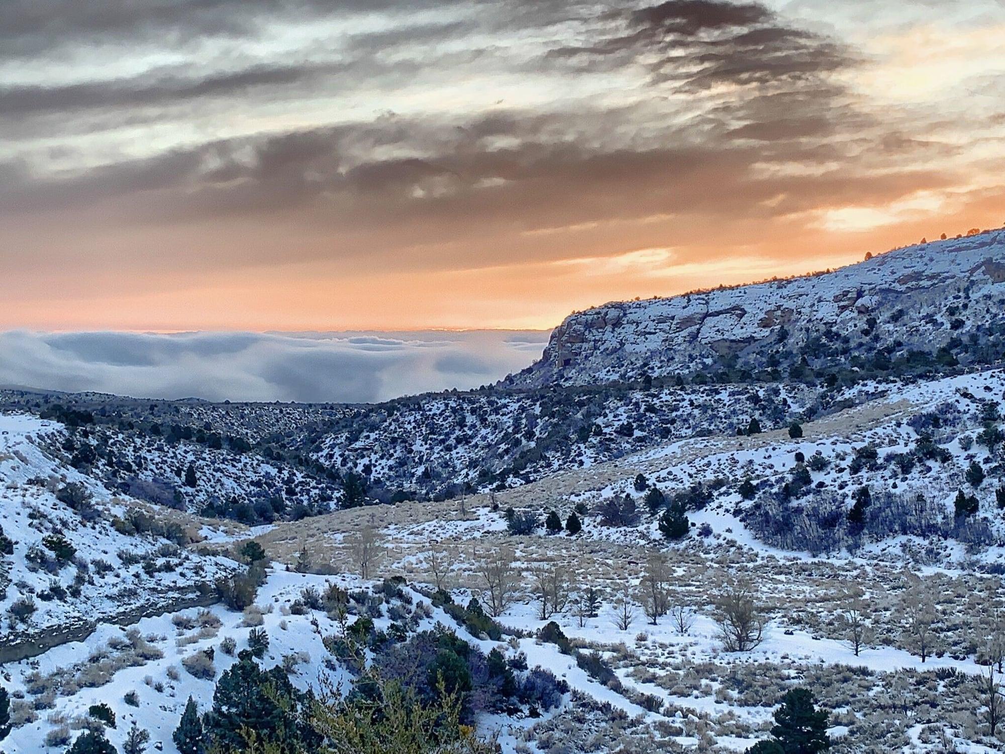 The Resort On Mount Charleston Dış mekan fotoğraf